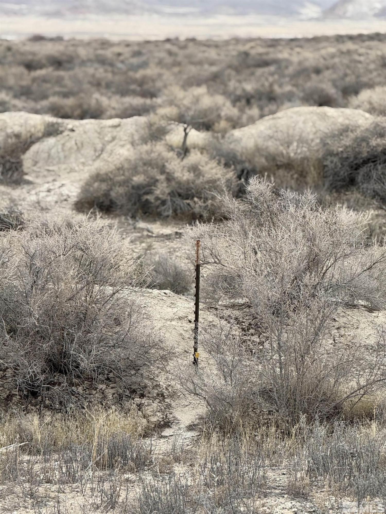 Image 3: Photo 2