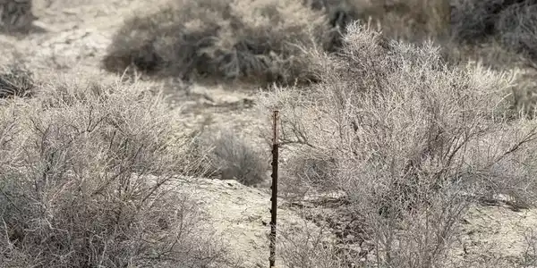 Image 3: Photo 2