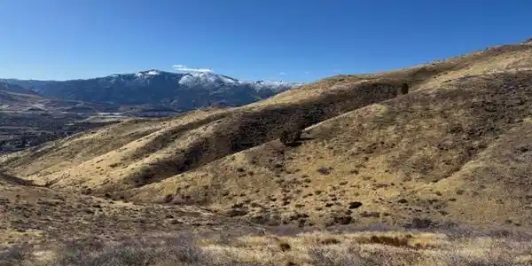 Image 4: Photo 4