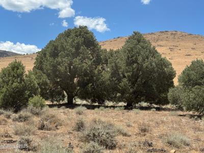 1400 Breccia Road