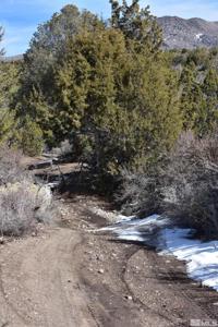 TBD Lone Pine Canyon (54) Road