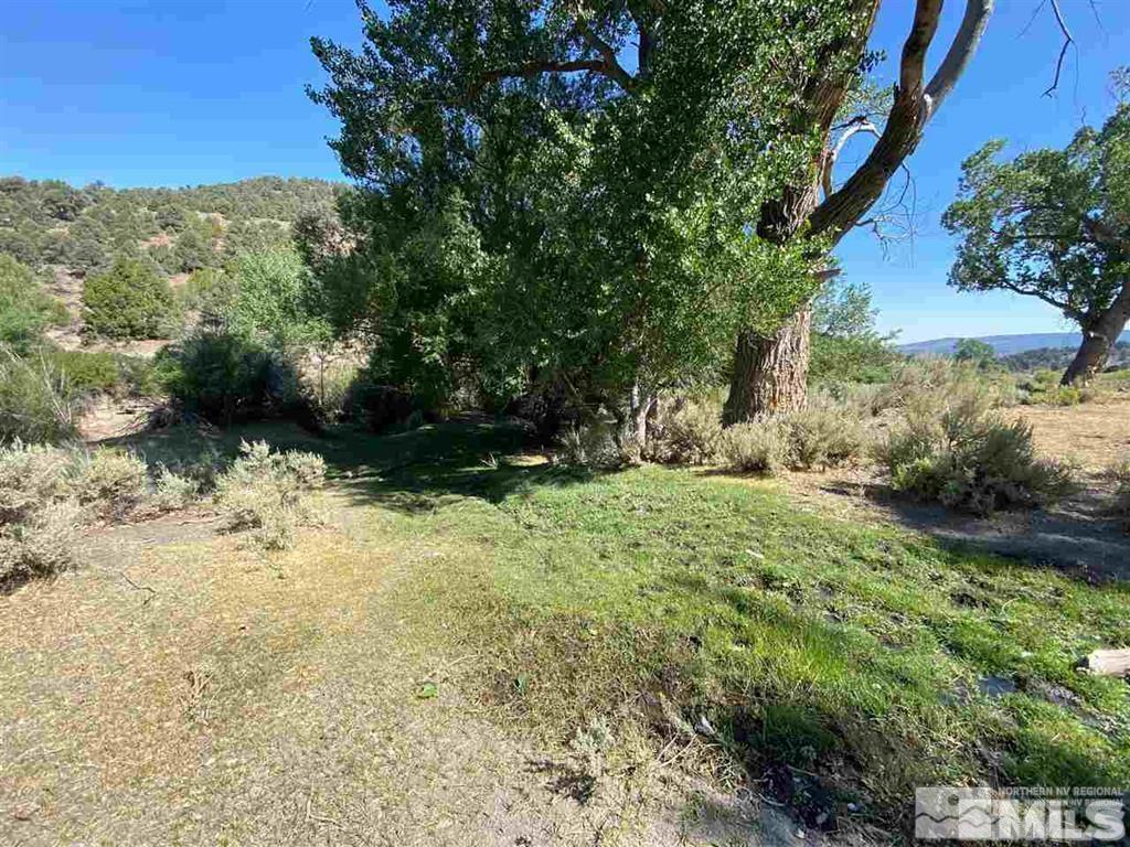 Image 1: Photo 1