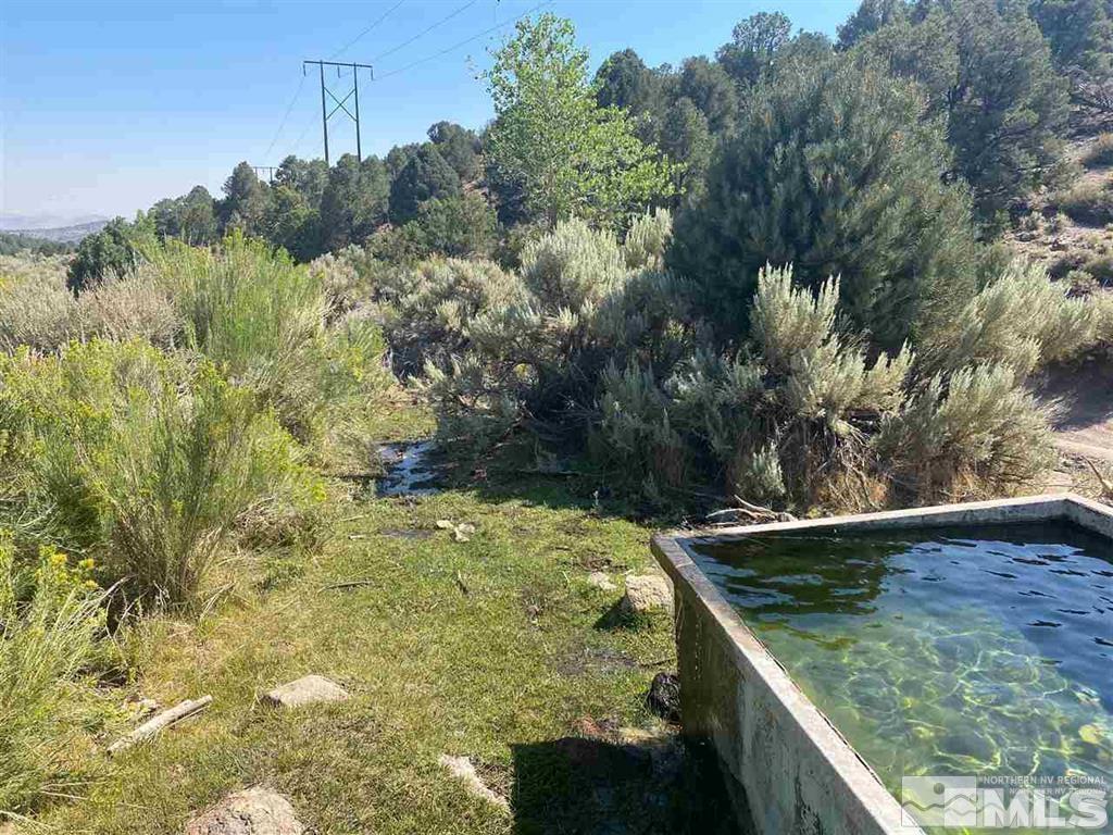 Image 2: Photo 2