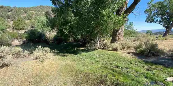 Image 3: Photo 3
