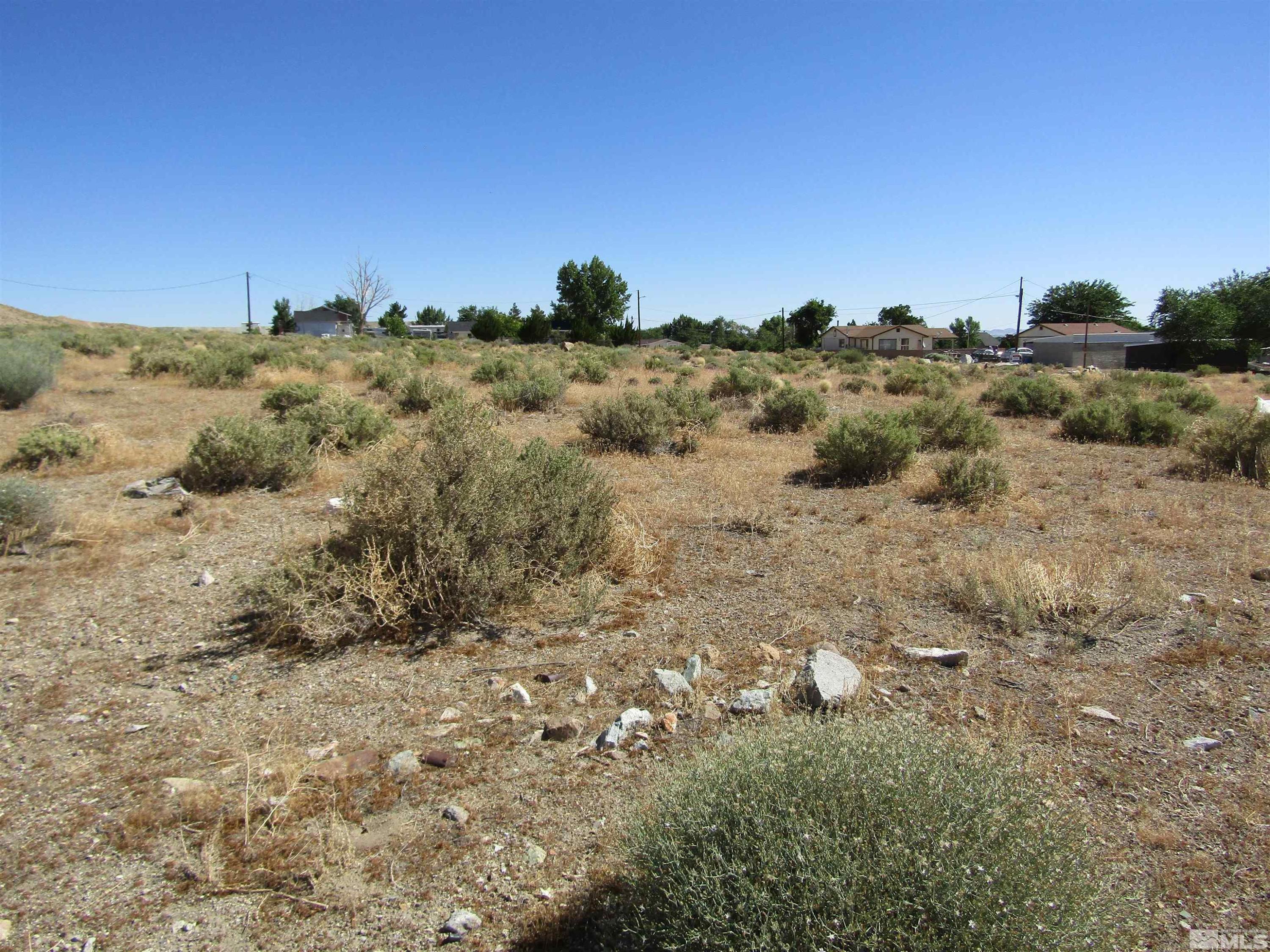 Image 3: Photo 3