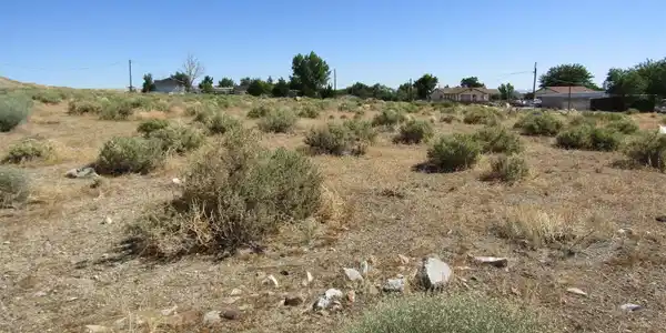 Image 3: Photo 3