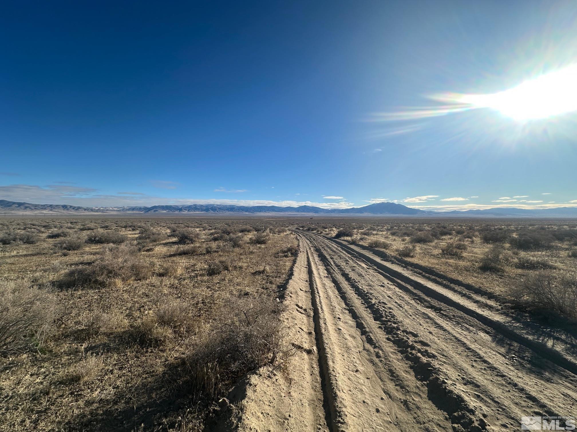 Image 3: Photo 3