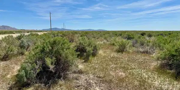 Image 2: Photo 2