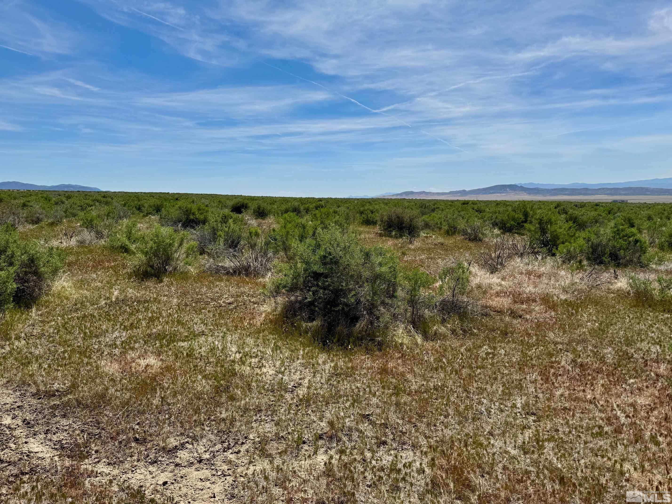 Image 3: Photo 3
