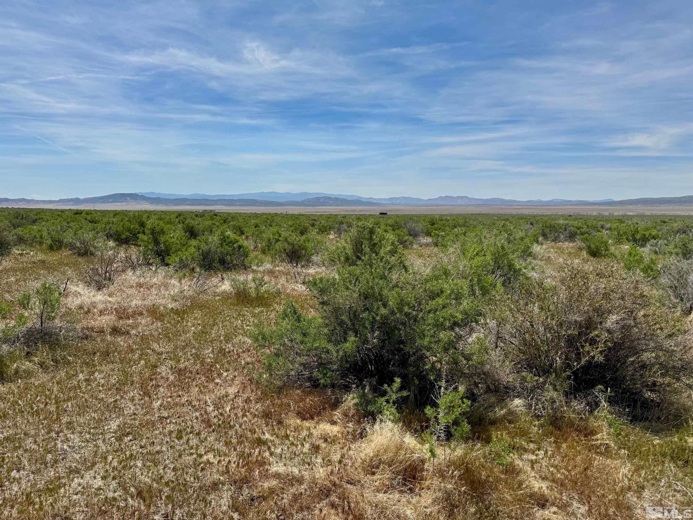 Image 4: Photo 4