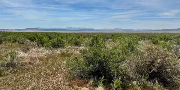 Image 4: Photo 4