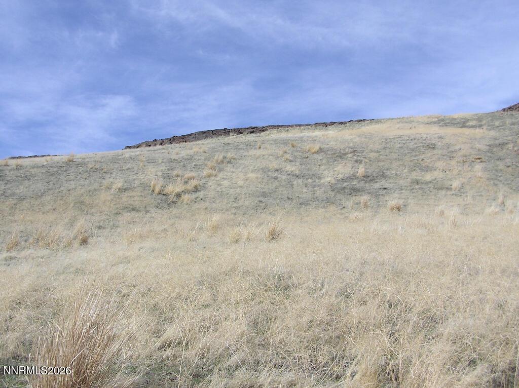 Image 4: 03