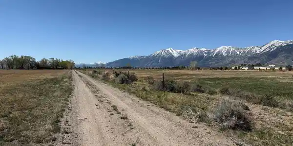 Image 4: Photo 4