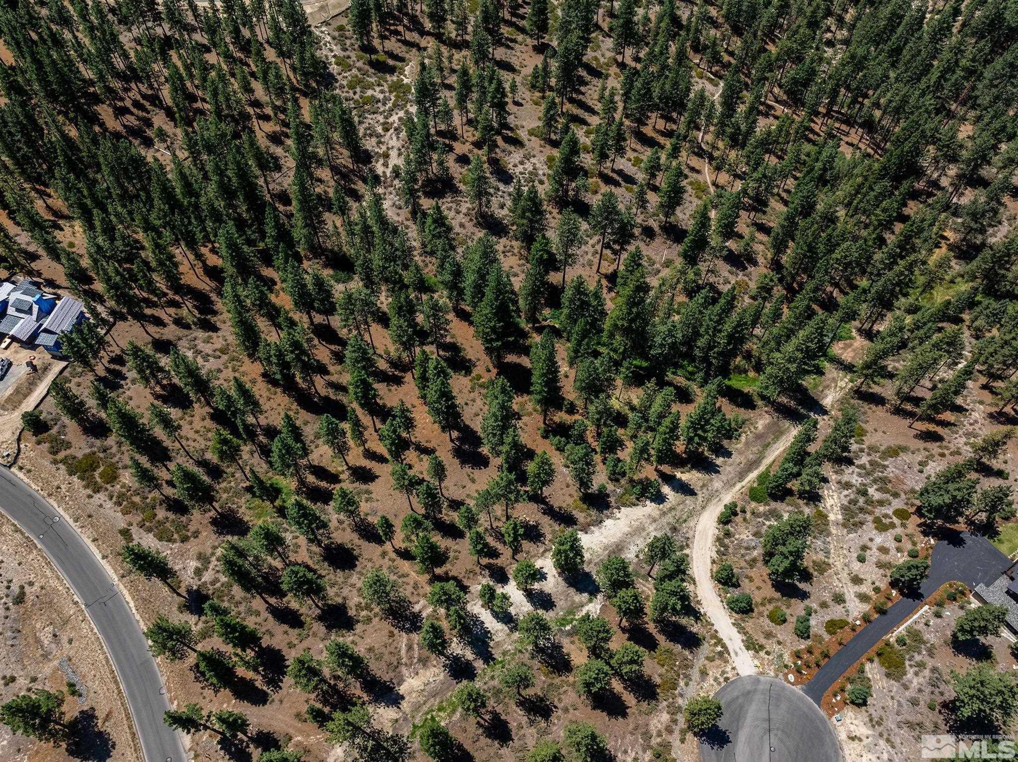 Image 4: Photo 4