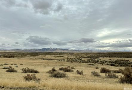 03074123 McDermitt