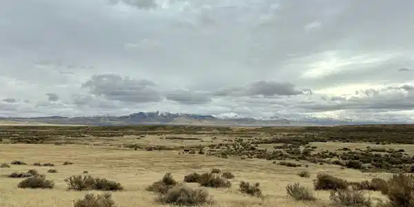 03074123 McDermitt
