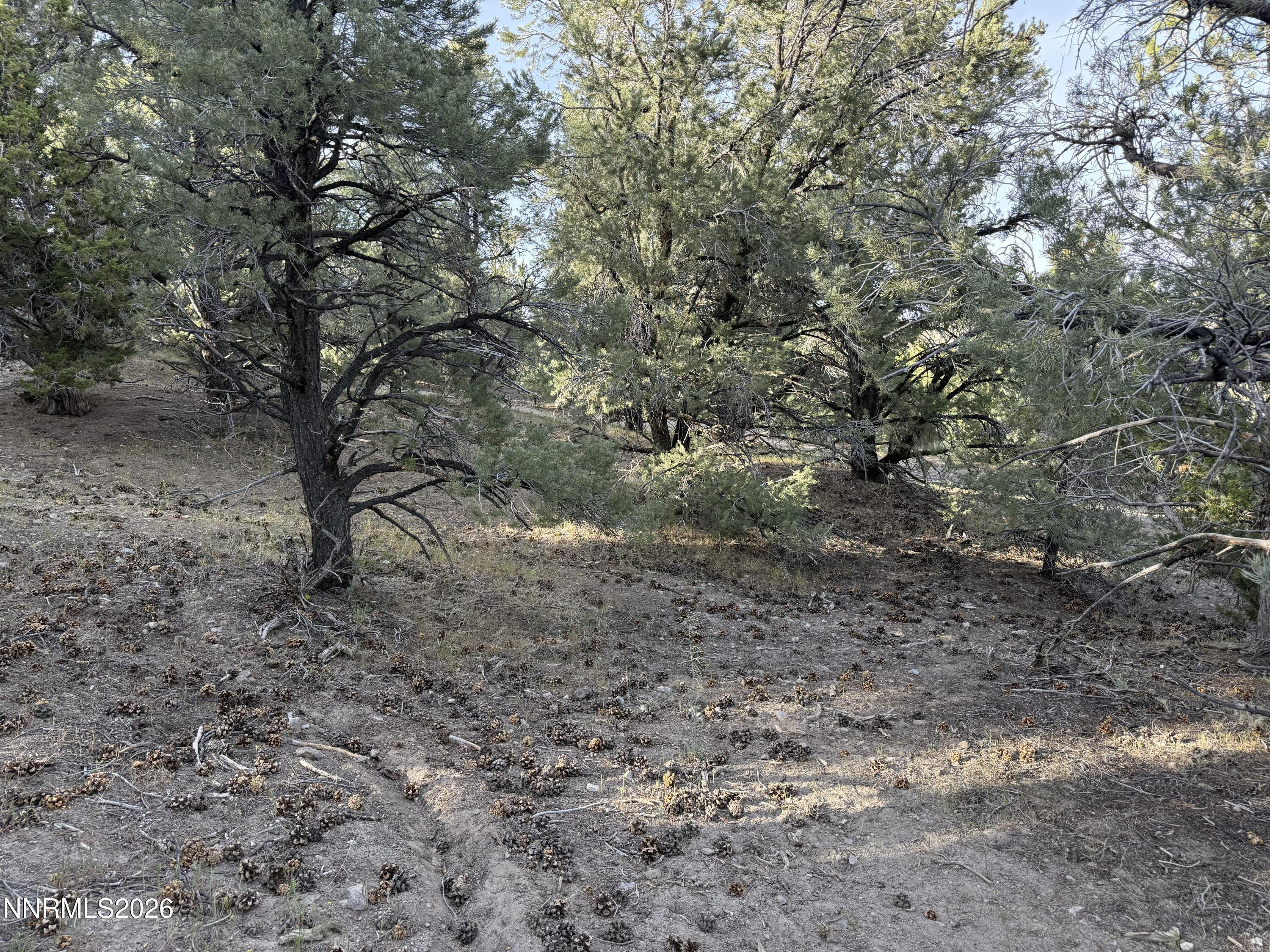 Image 2: 2
