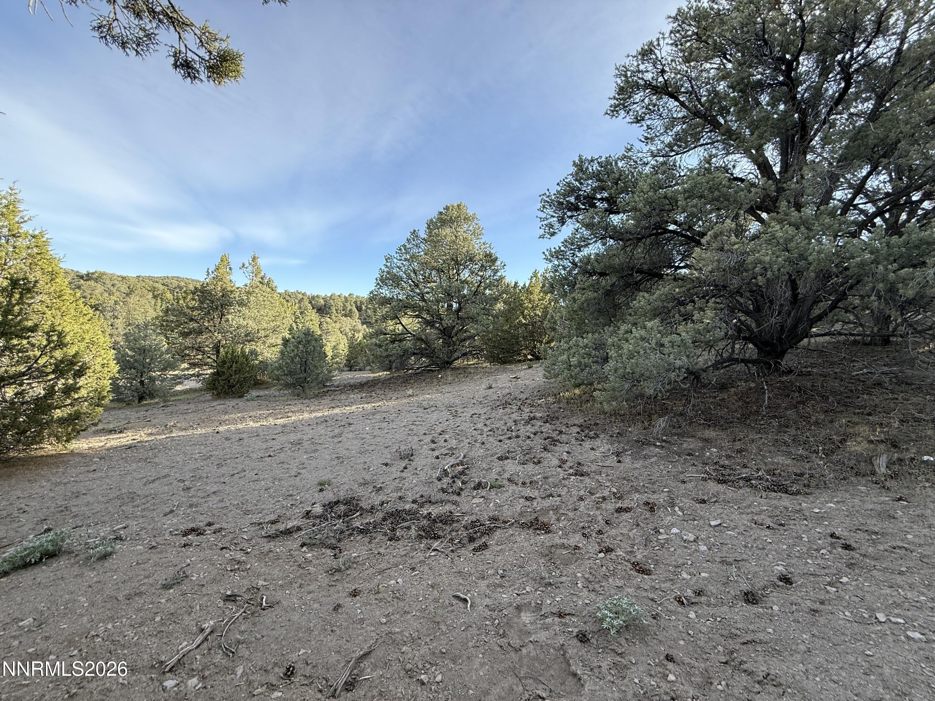 Image 4: 4