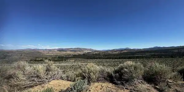 550 Emigrant Trail