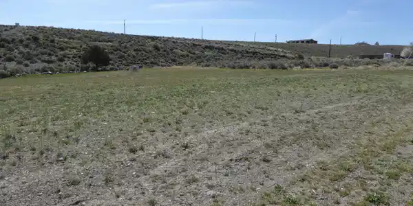 Image 2: Terrain