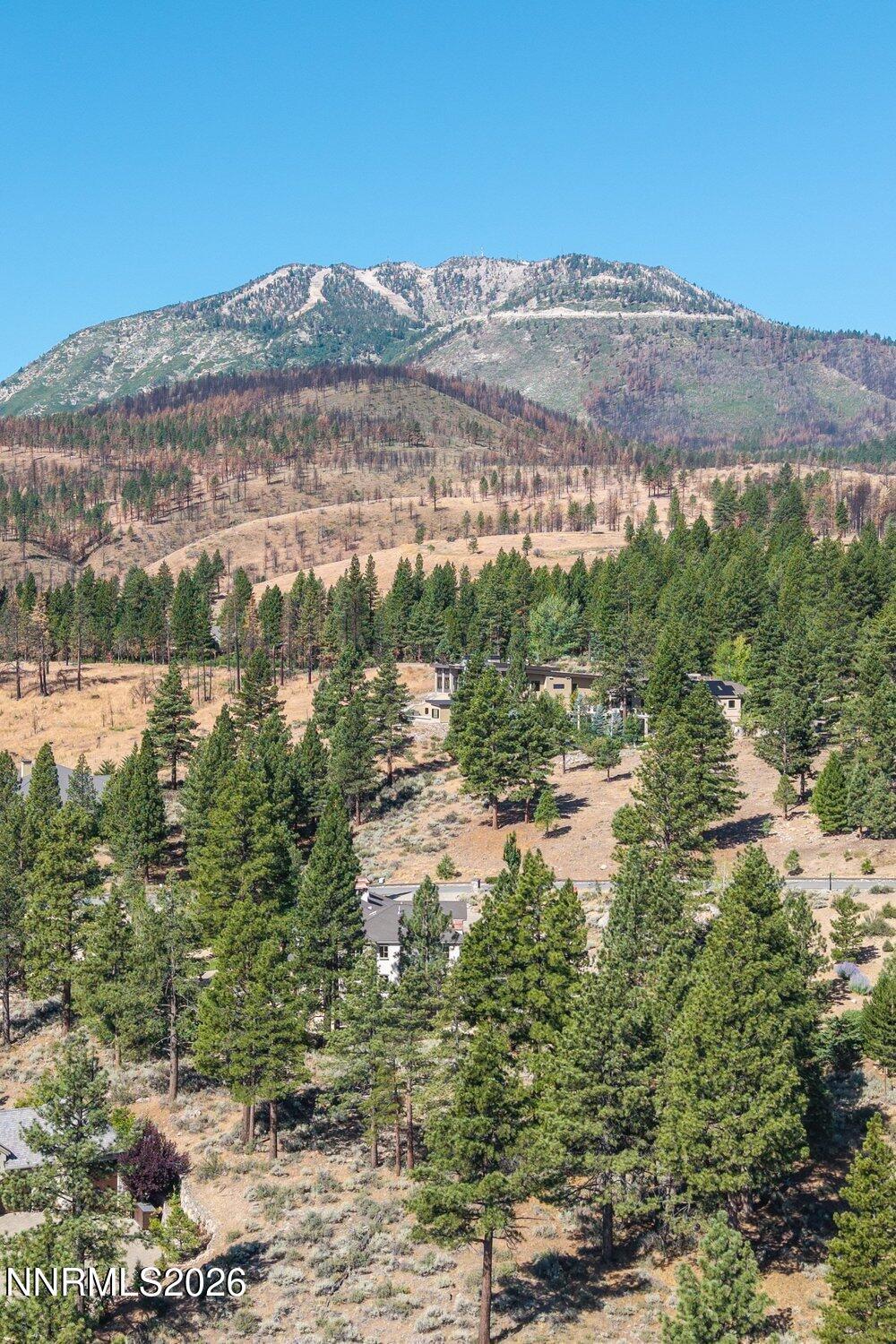 Image 3: 003_dji_20260716094103_0036_d_245