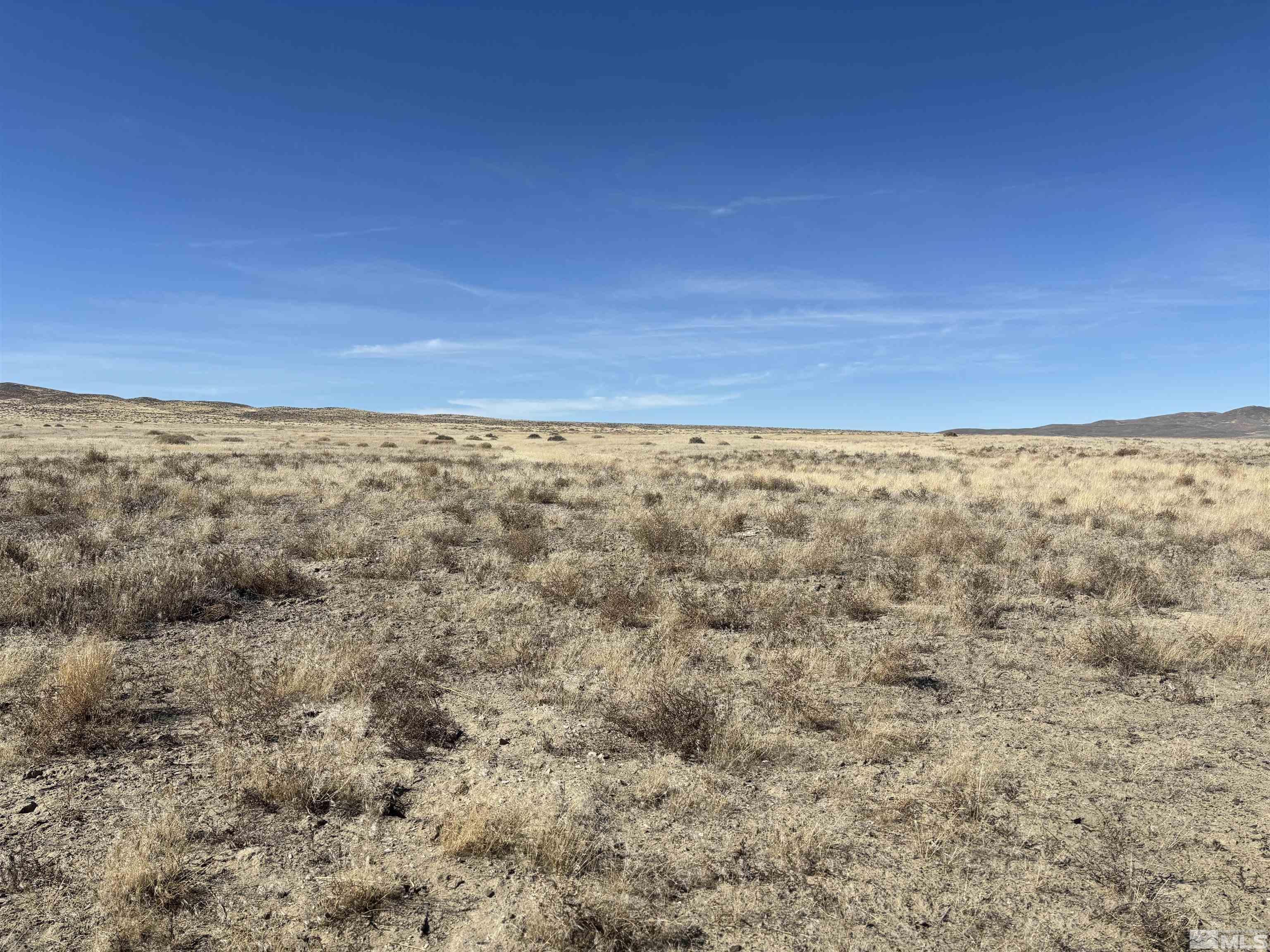 Image 2: Photo 2