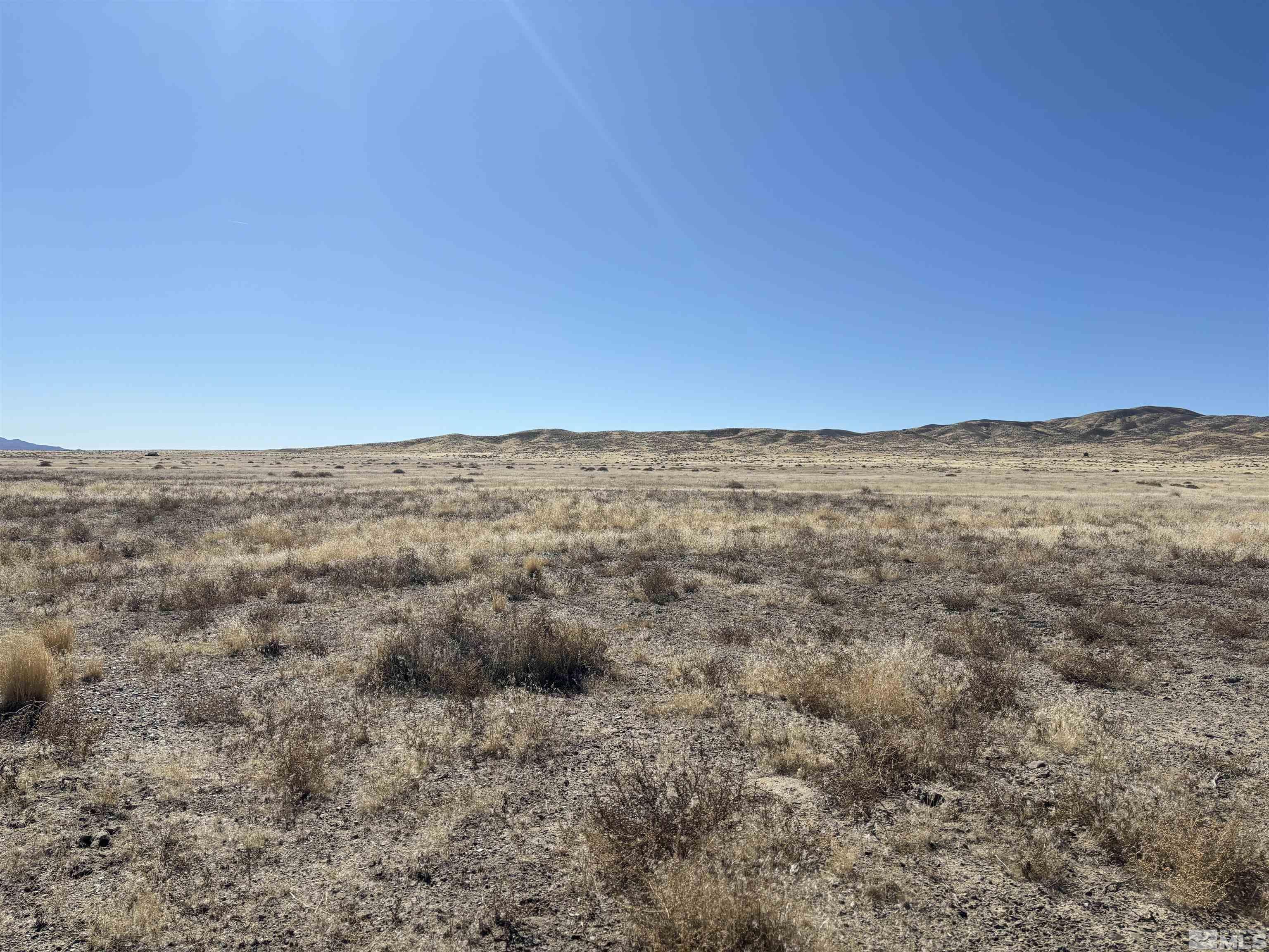 Image 3: Photo 3