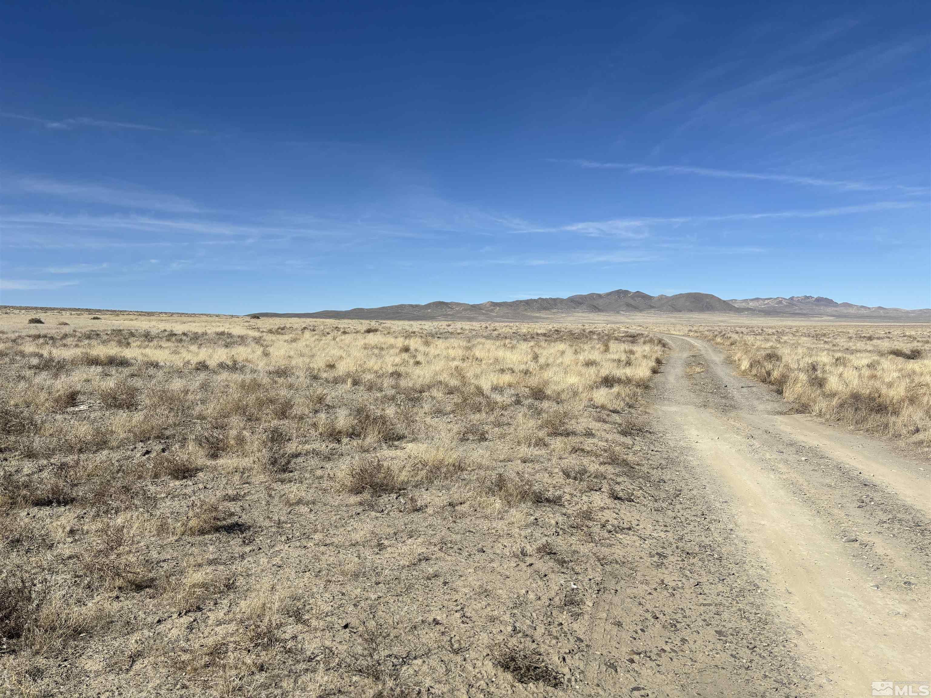 Image 4: Photo 4