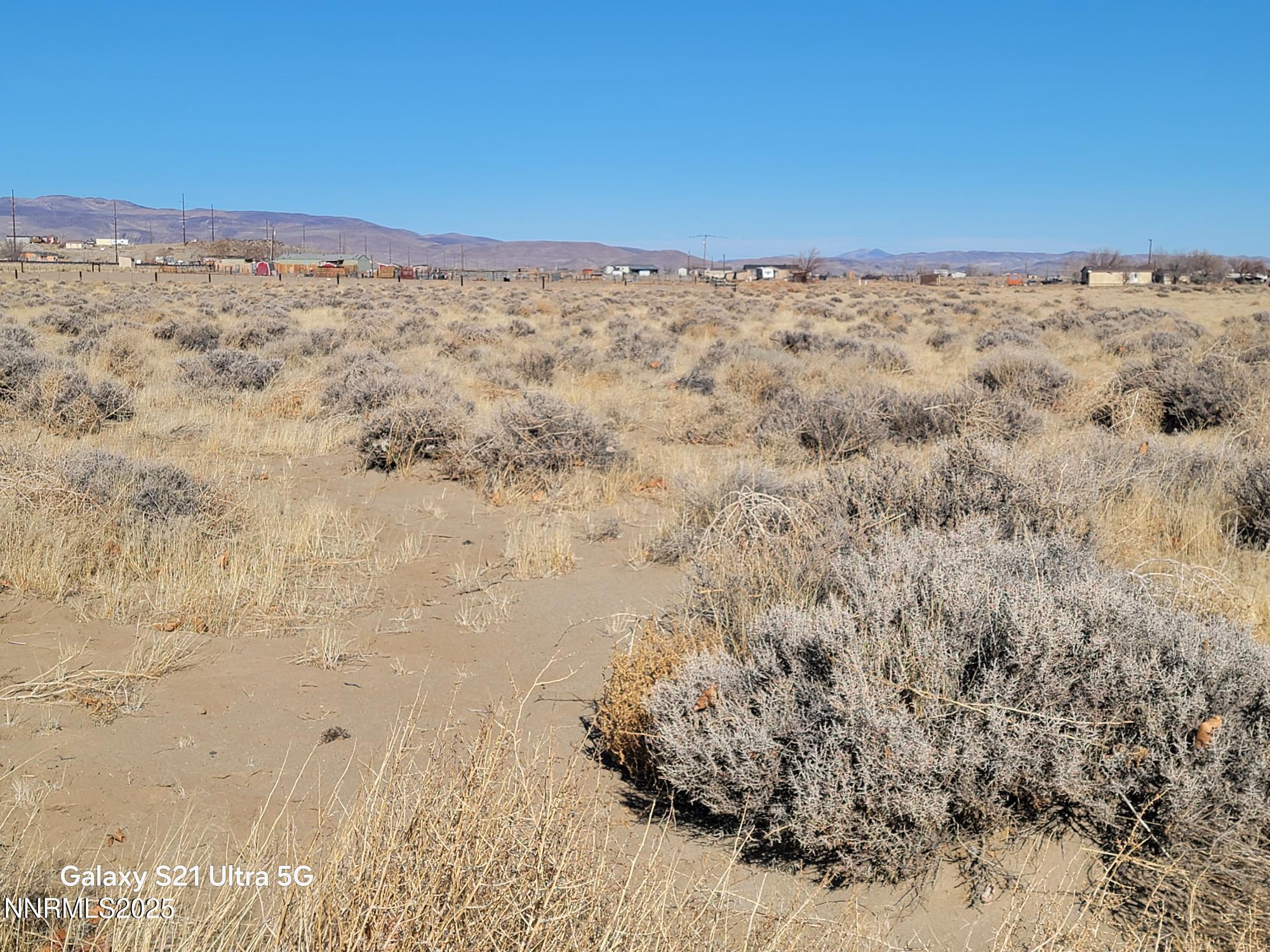 Image 3: 20250117_112611