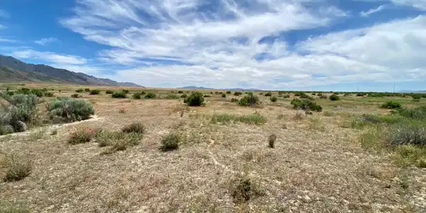 Image 2: Photo 2