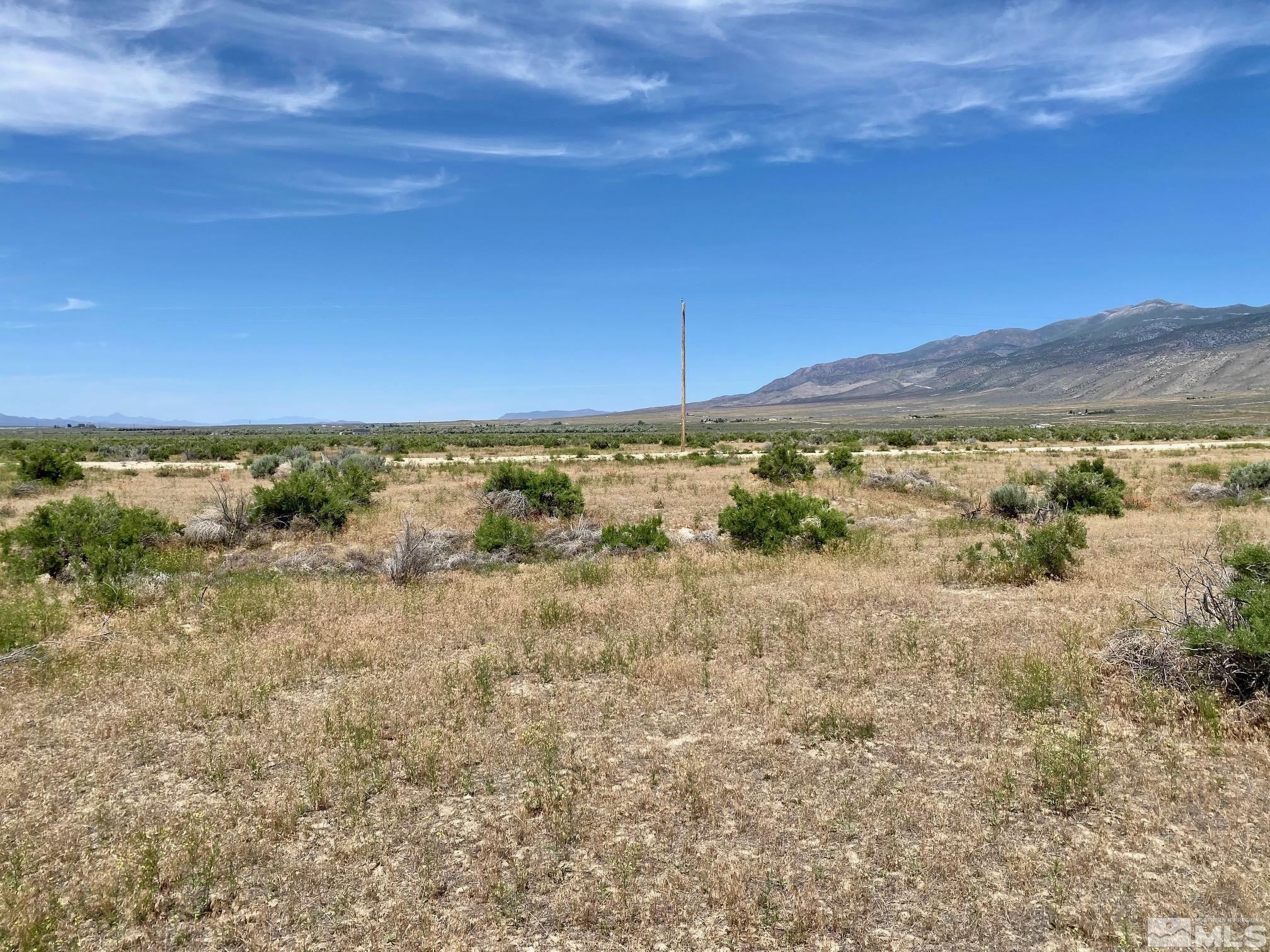 Image 4: Photo 4