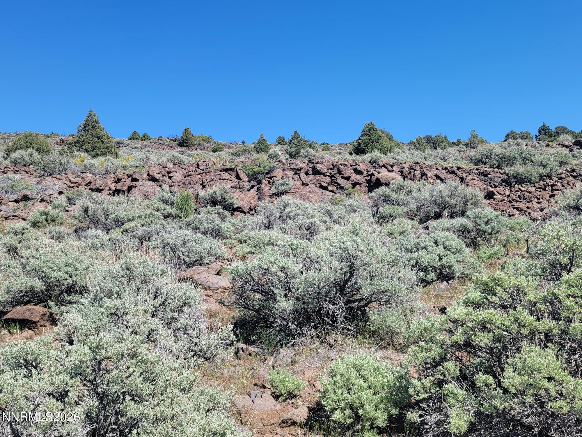 Image 3: 20260508_150001