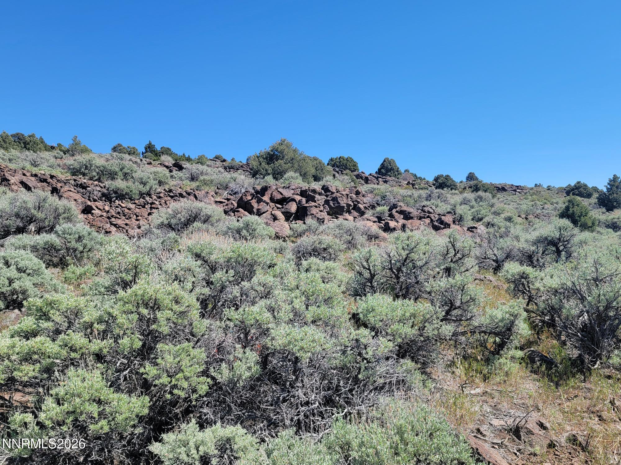 Image 4: 20260508_150003