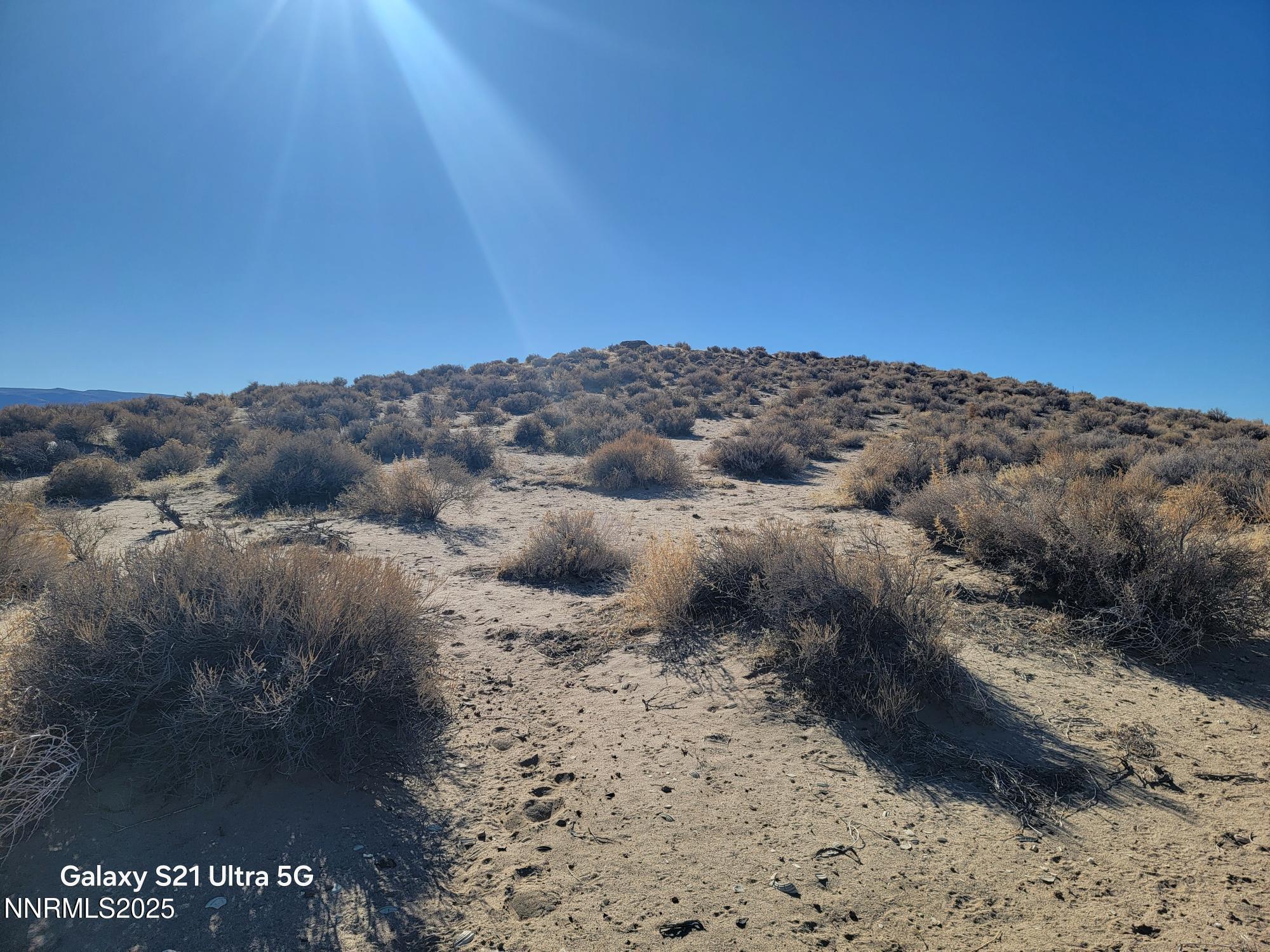 Image 3: 20250117_111311