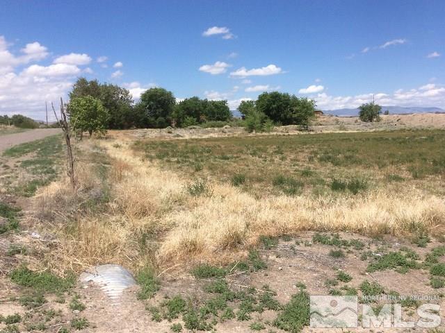 Image 4: Photo 4