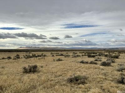 03074116 McDermitt