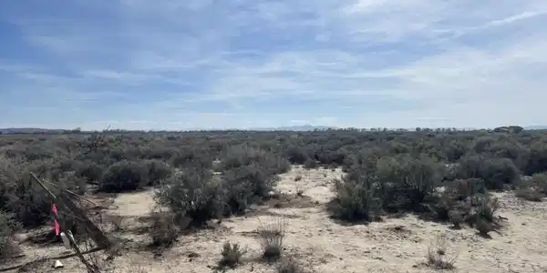 Image 2: IMG_4918