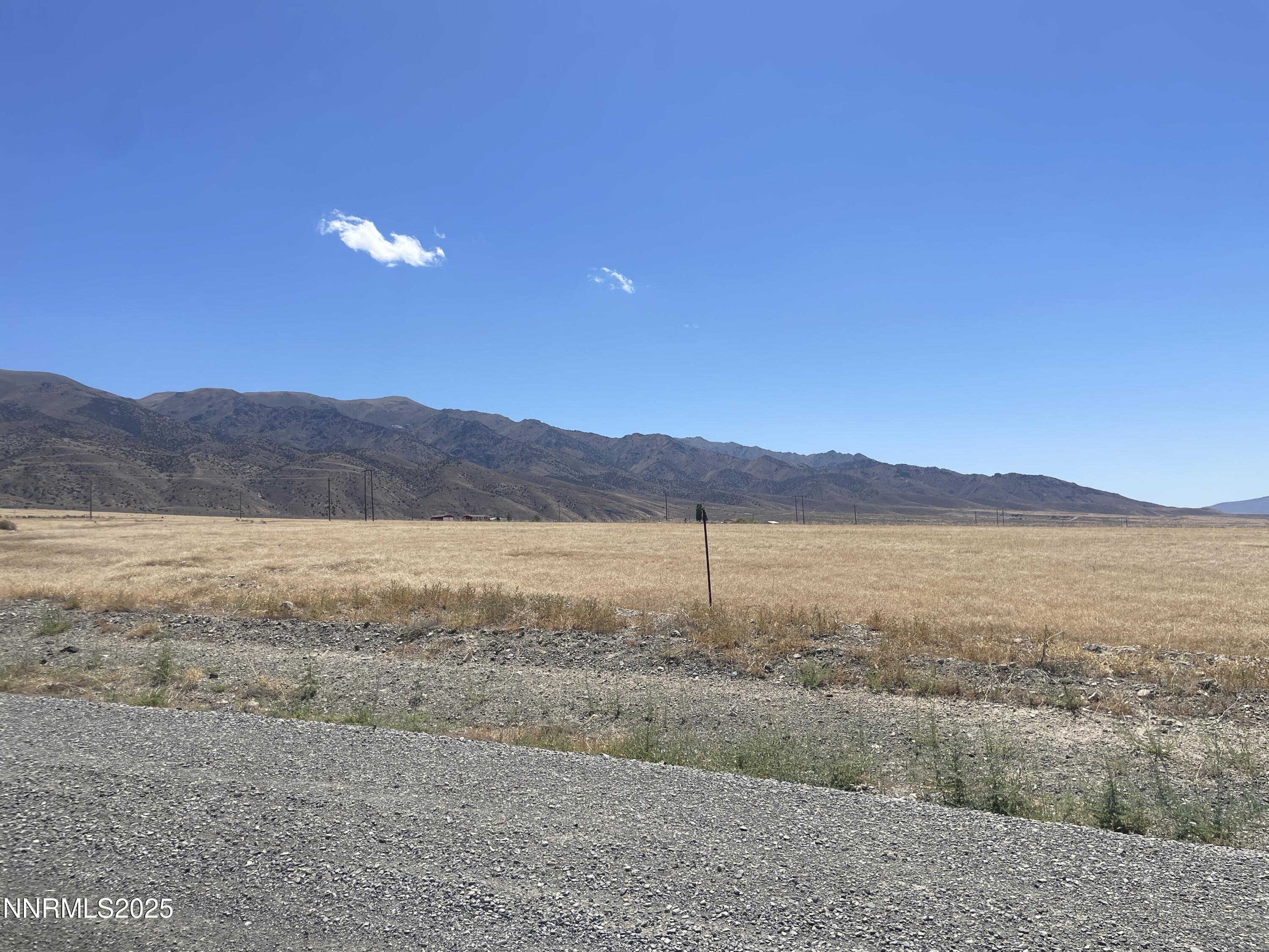 Image 3: IMG_8542 2