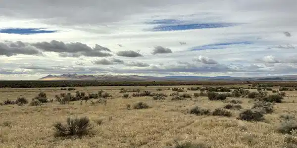 03074124 McDermitt