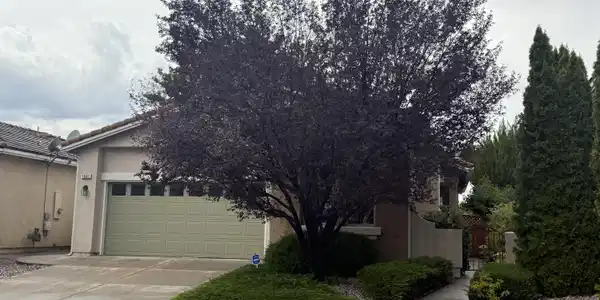 1661 Cosenza Drive