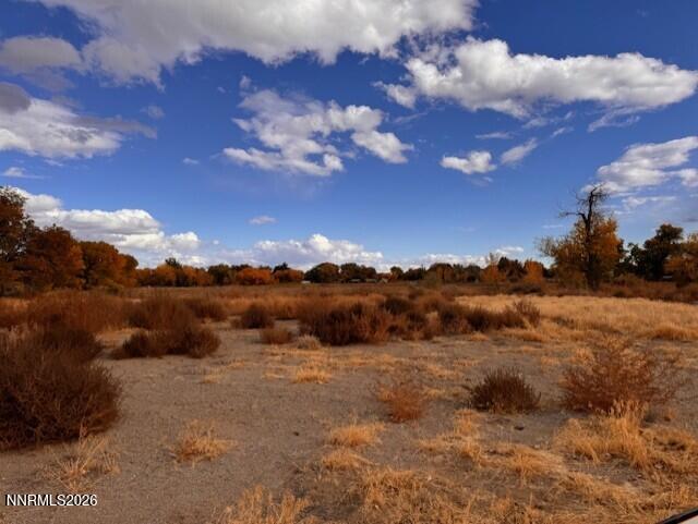Image 1: Wetland 2