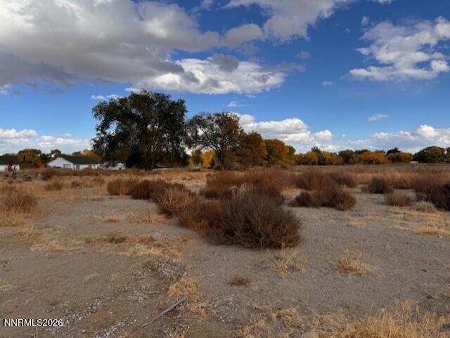 Image 2: Wetland