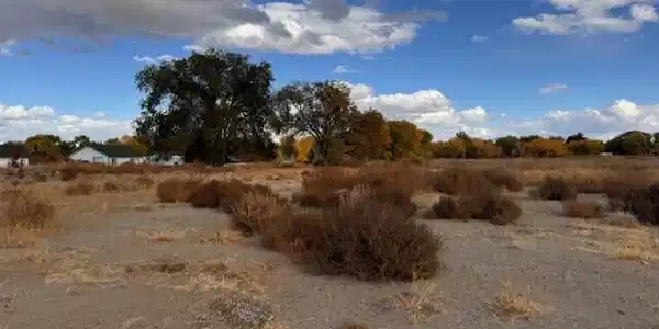 Image 2: Wetland
