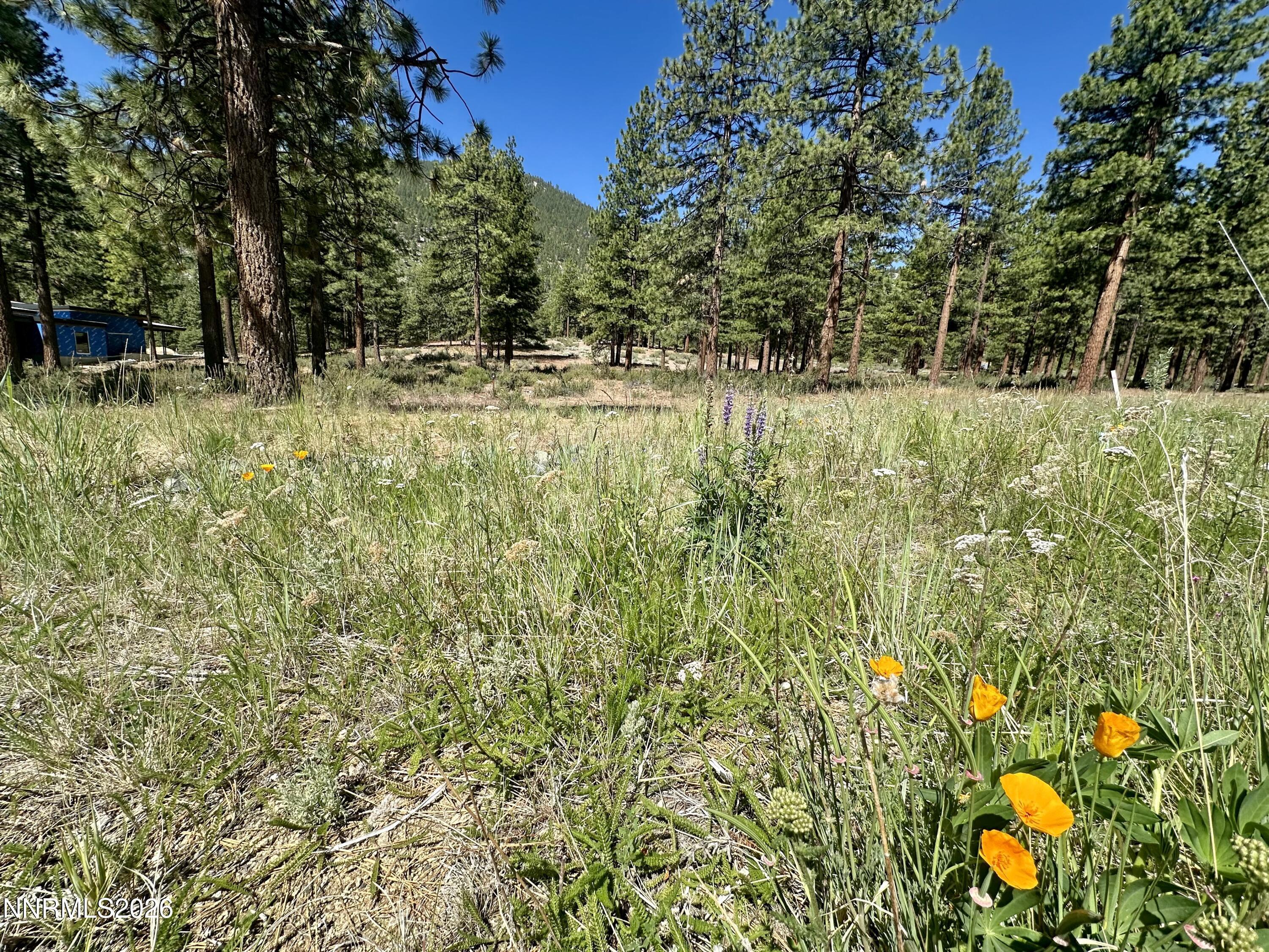Image 1: lot topo