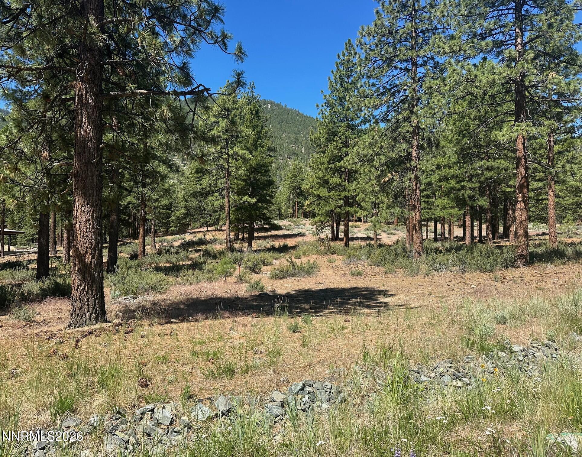 Image 2: open space