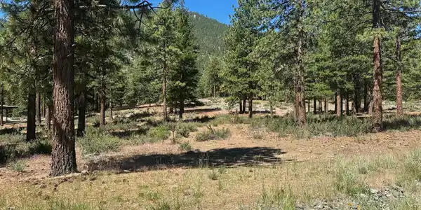 Image 2: open space