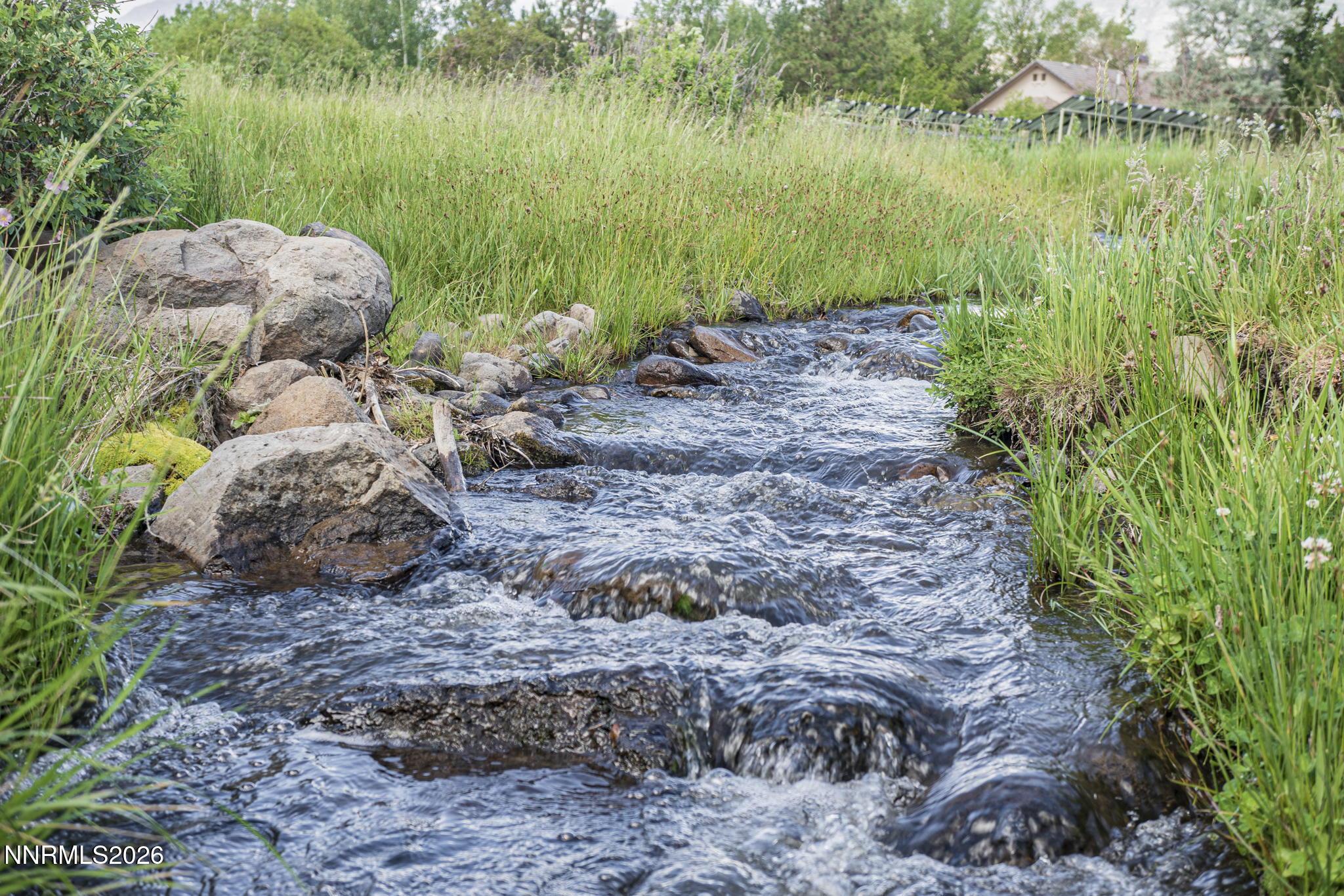 Image 2: Thomas Creek