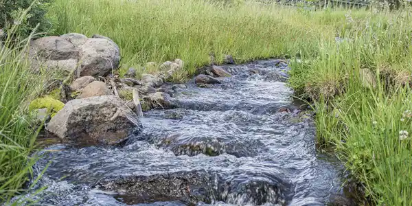 Image 2: Thomas Creek