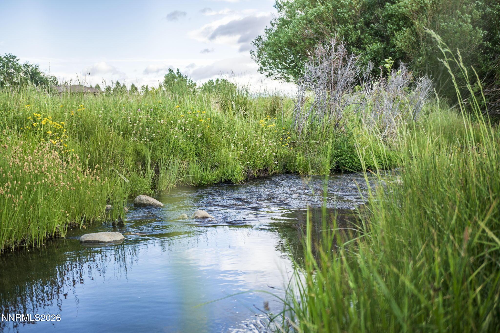 Image 3: Thomas Creek