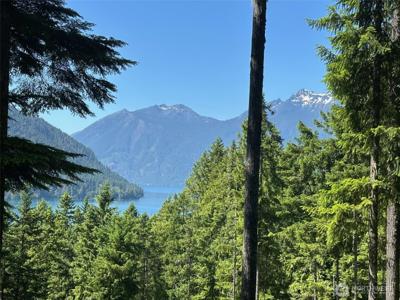 5156 Lake Cushman